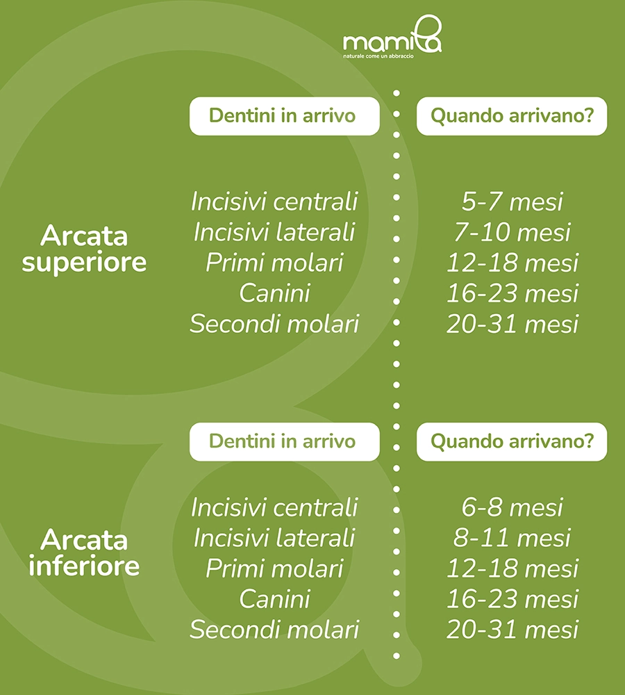 calendario della dentizione